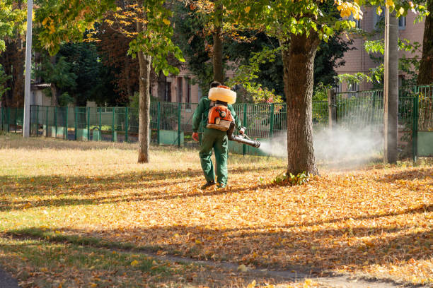 Best Termite Control Services  in Fairfield, CA