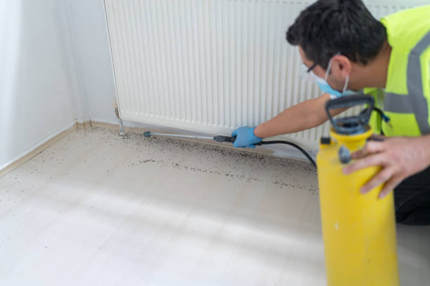 Best Commercial Pest Control Services  in Fairfield, CA